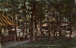 The Grove, Long Branch Park Postcard