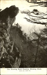 The Blowing Rock Country Postcard