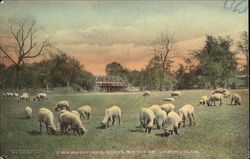 Canandaigua Outlet Near Unionville New York Postcard Postcard