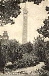 The Campanile, University of Califormia Postcard