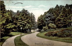 Gordon Park Drive Postcard