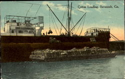 Cotton Loading Postcard