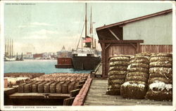 Cotton Docks Savannah, GA Postcard Postcard