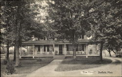 Pine View Postcard