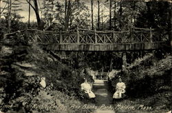 Rustic Bridge, Pine Banks Park Malden, MA Postcard Postcard