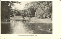 Duck Pond, Forest Park Springfield, MA Postcard Postcard