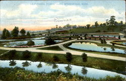 Lily Ponds, Forest Park Springfield, MA Postcard Postcard