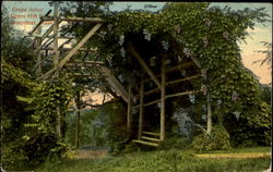 Grape Arbor, Green Hill Park Postcard