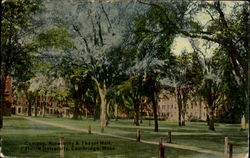 Campus Holworthy & Thayer Hall, Harvard University Cambridge, MA Postcard Postcard