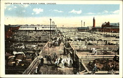 Cattle Stalls, Union Stock Yards Chicago, IL Postcard Postcard