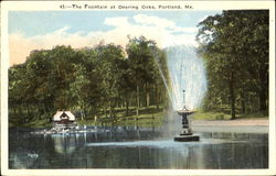 The Fountain At Deering Oaks Postcard