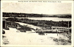 Herring Brook And Bartlett Pond White Horse Beach, MA Postcard Postcard