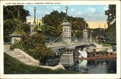 Lake And Bridge, Public Gardens Postcard