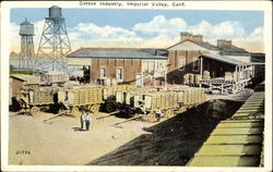 Cotton Industry, Imperial Valley Postcard