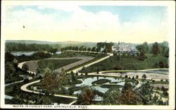 Scene In Forest Park Springfield, MA Postcard Postcard