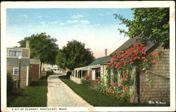 A Bit Of Sconset Nantucket, MA Postcard Postcard