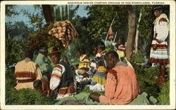 Seminole Indian Camping Ground In The Everglades Postcard