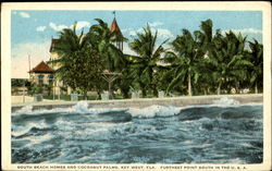 South Beach Homes And Cocoanut Palms Postcard