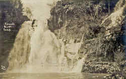 Youne's River Falls Postcard