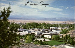 Tallest Town In Oregon Postcard