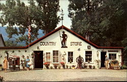 Dorset Country Store Postcard