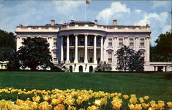 The White House Postcard