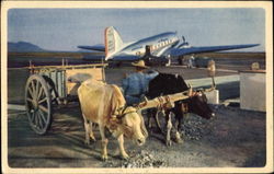 American Airlines Aircraft Postcard Postcard