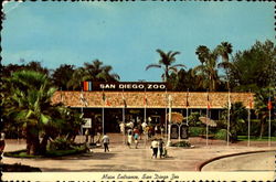 Main Entrance San Diego Zoo California Postcard Postcard