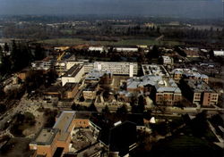 University Of Oregon Campus At Eugene Postcard