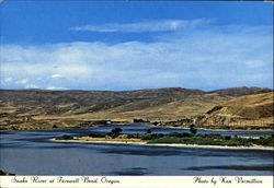 The Snake River, Farewell Bend Postcard