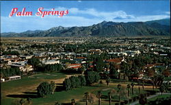 Palm Springs California Postcard Postcard