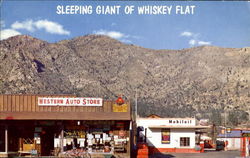 Welcome To Whiskey Flat Postcard