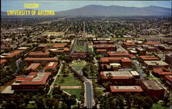 The University Of Arizona's 120-Acre Campus Postcard