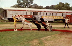 Circus World Museum Baraboo, WI Postcard Postcard