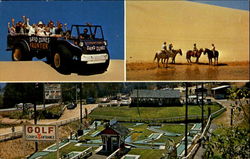 Sand Dunes Frontier Inc Postcard