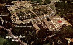 Golden Gate Park San Francisco, CA Postcard Postcard