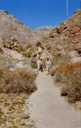 Anza Borrego Desert State Park, State Route 78, San Diego and Imperial Counties, 25 miles east of Julian Scenic, CA Postcard Postcard