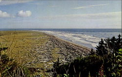 Benson Beach Postcard