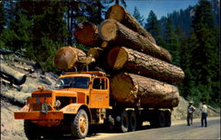 Logging Truck Postcard