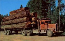 Paul Bunyan's Toothpicks Postcard