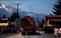 Logging In The Northwest Postcard