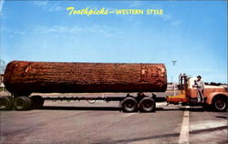 Toothpicks Western Style Postcard