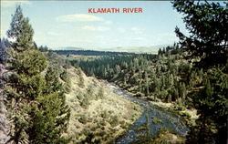 The Klamath River Scenic, OR Postcard Postcard