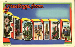 Greetings From Florida Postcard