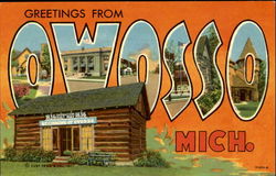 Greetings From Owosso Postcard