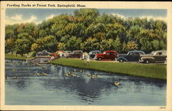 Feeding Ducks At Forest Park Springfield, MA Postcard Postcard