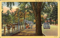 The Zoo, Forest Park Postcard