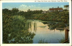 Cape Cod Scene Near Hyannis Massachusetts Postcard Postcard