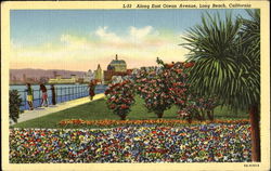 Along East Ocean Avenue Postcard