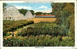 A View Of The Dahlia Beds At Elitch Gardens Denver, CO Postcard Postcard